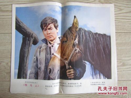 上海大学商科文凭证书